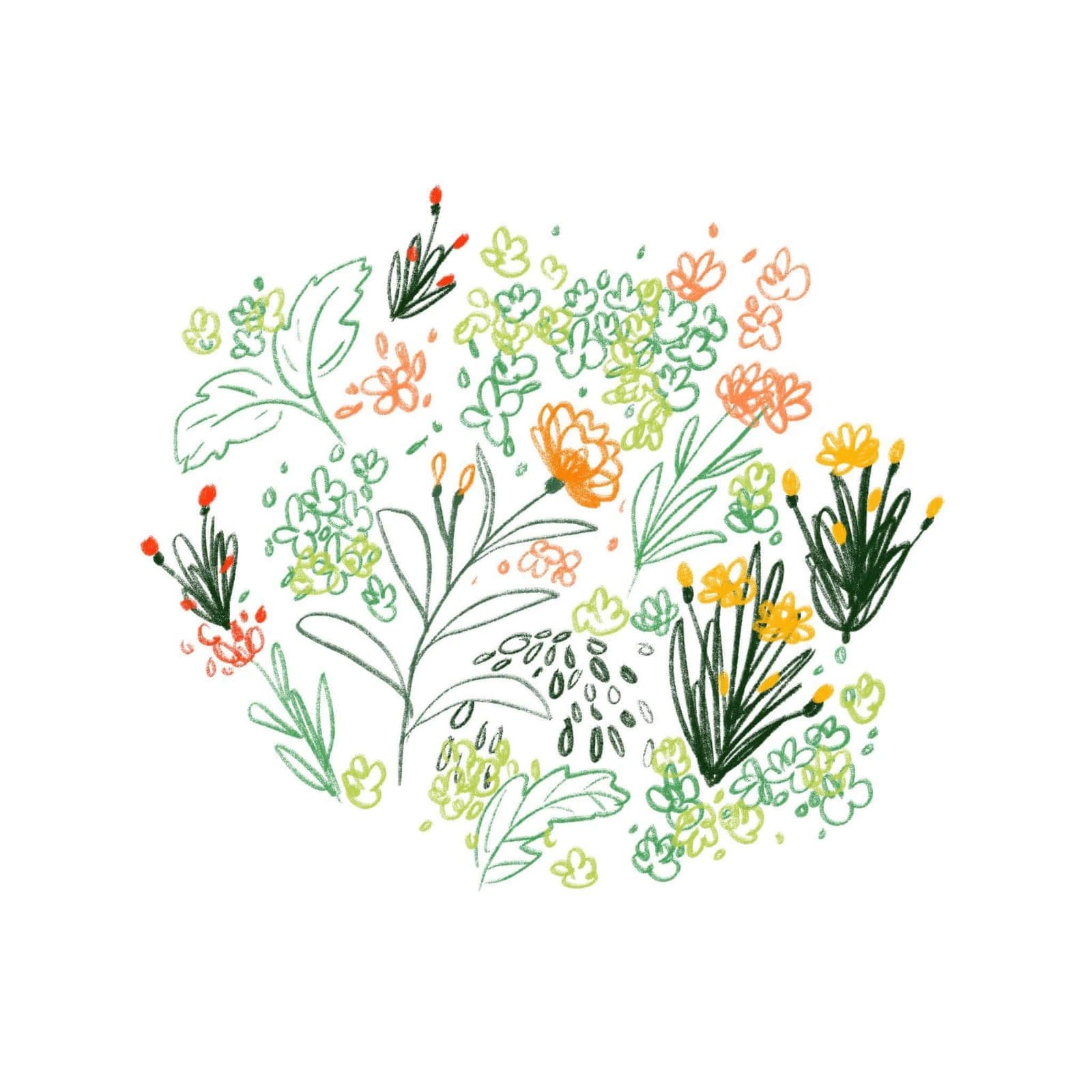 Fleurs — illustration florale délicate 1 de Caroline Le Rouge de Guerdavid