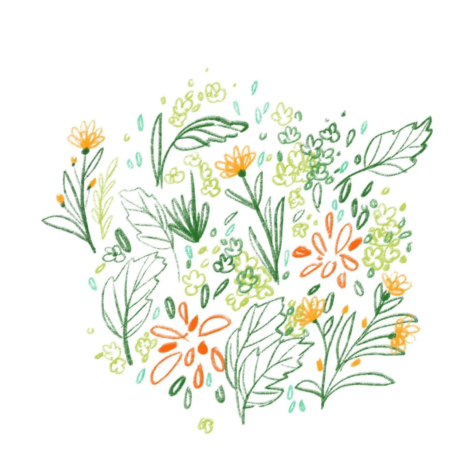 Fleurs — illustration florale délicate 3 de Caroline Le Rouge de Guerdavid