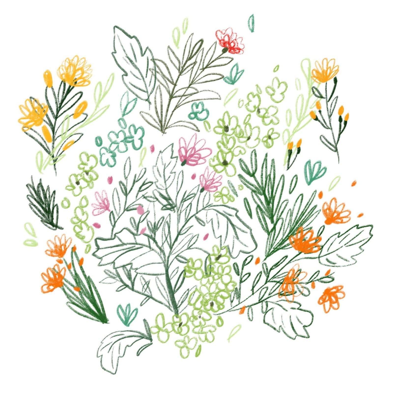 Fleurs — illustration florale délicate 5 de Caroline Le Rouge de Guerdavid