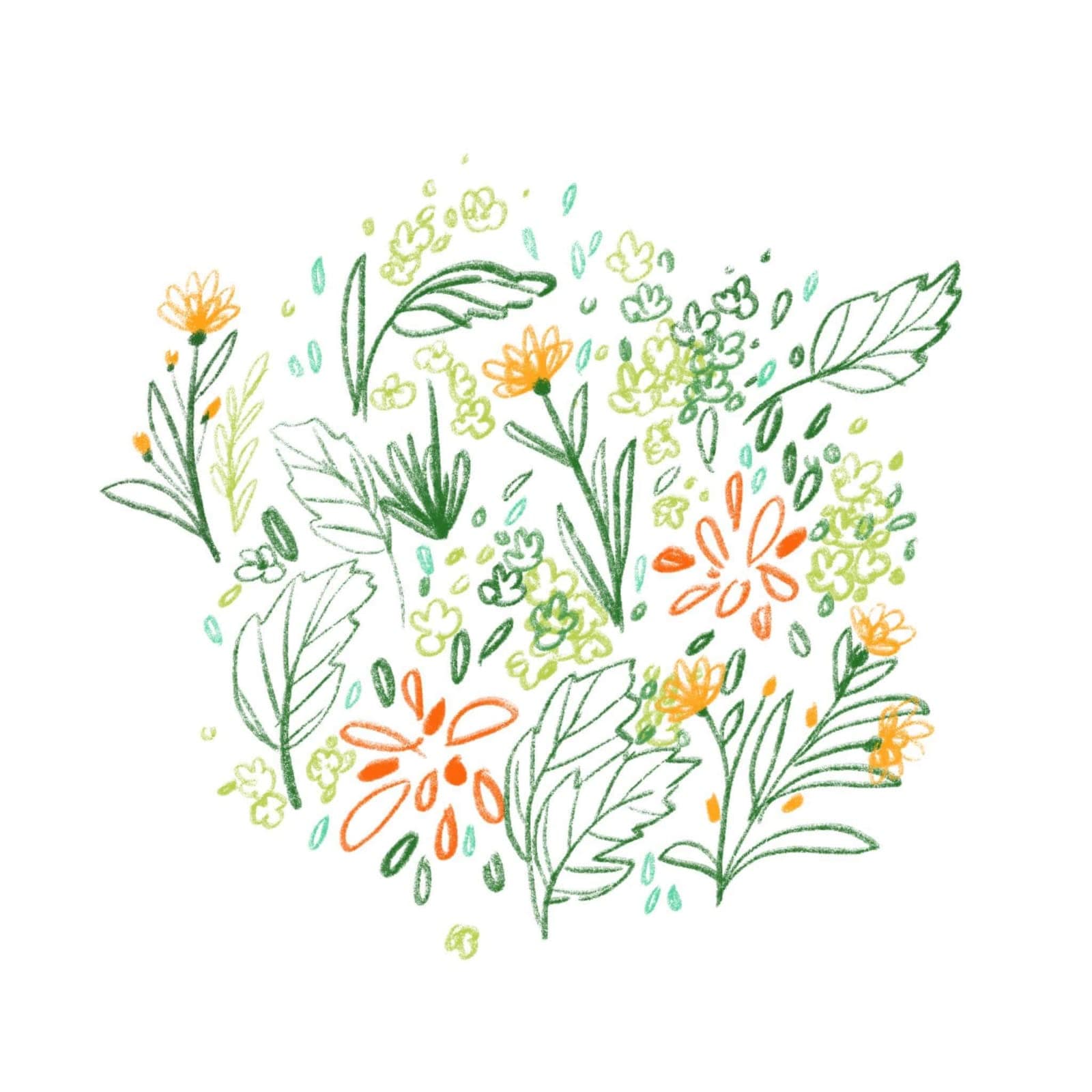 Fleurs — illustration florale délicate 6 de Caroline Le Rouge de Guerdavid